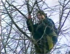 Shergroup Enforcement Timeline