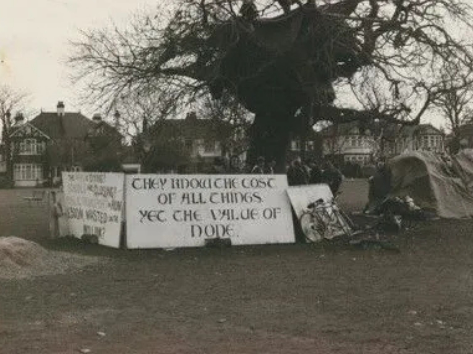 Hand-painted protest banners and tents beneath a tree at the M11 Link Road camp